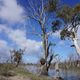 Illustration for article titled Roamin the Riverland.